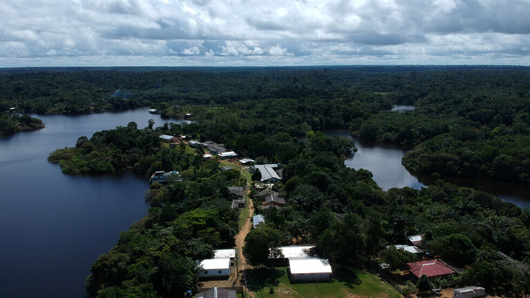 اجتثاث غابات الأمازون يقترب من مستوى قياسي